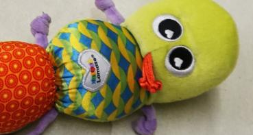 Raupe von Lamaze (3842)